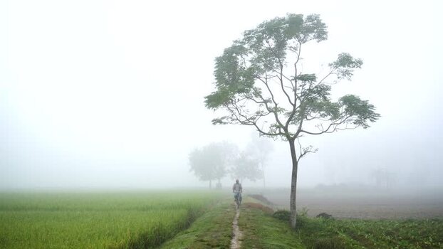 View of a person cycling through a foggy field in Bangladesh. View of a person cycling through a foggy field in Bangladesh.