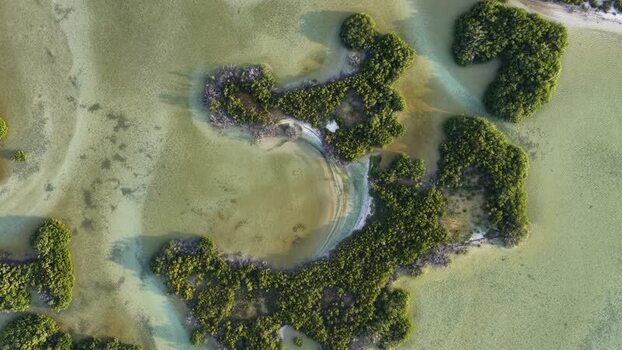 Aerial view of Yucalpeten mangroves and coastal waters Mexico. Aerial view of Yucalpeten mangroves and coastal waters Mexico.