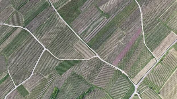Aerial view of geometric vineyard patterns France. Aerial view of geometric vineyard patterns France.