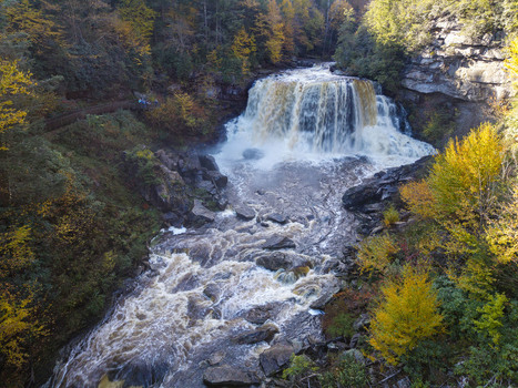 Aerial view of Blackwater Falls cascading over rocky ledges surrounded by vibrant autumn foliage in Blackwater Falls State Park in Davis West Virginia United States.
