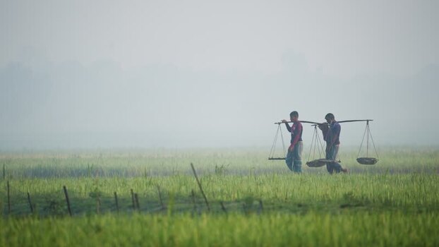View of farmers carrying baskets in a misty field Bangladesh.