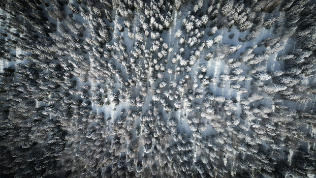Aerial view of snow laden treetops creating a dense textured carpet under a winter sky Mijoux Auvergne Rhône Alpes France. Aerial view of snow laden treetops creating a dense textured carpet under a winter sky Mijoux Auvergne Rhône Alpes France.