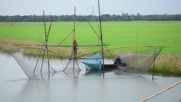 View of a fisherman using a traditional lift net in Bogura Bangladesh.