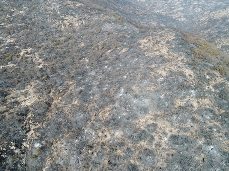 Aerial view of the charred landscape and burnt vegetation in the Sierra de San Miguelito following a forest fire in San Luis Potosi San Luis Potosi Mexico.