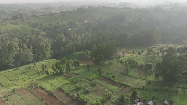 Aerial view of green farm lands Kenya.
