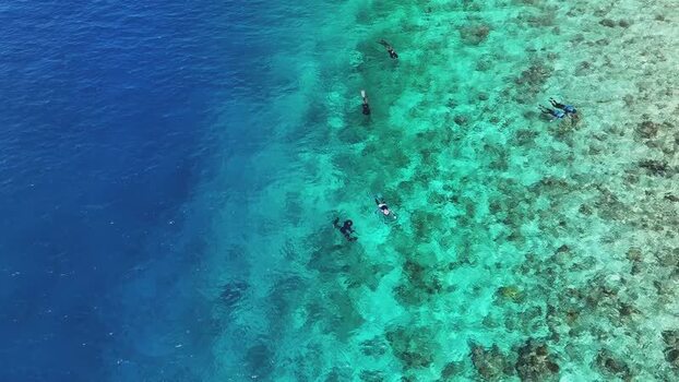 Aerial view of snorkelers over a coral reef Maldives. Aerial view of snorkelers over a coral reef Maldives.