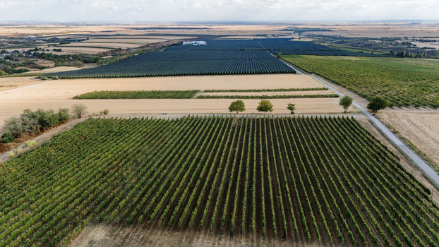 Aerial view of the Deuric vineyards and surrounding agricultural fields with neat rows of vines and protective netting in Mala Remeta Vojvodina Serbia. Aerial view of the Deuric vineyards and surrounding agricultural fields with neat rows of vines and protective netting in Mala Remeta Vojvodina Serbia.