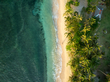 Aerial view of Mahaybo Beach with lush palm trees lining the sandy shore and turquoise water in General Luna Caraga Philippines. Aerial view of Mahaybo Beach with lush palm trees lining the sandy shore and turquoise water in General Luna Caraga Philippines.