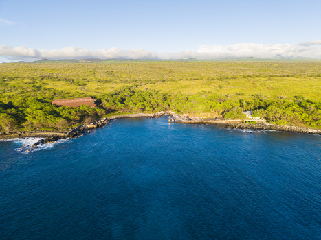 Aerial view of Mahukona Beach Park featuring the rocky coastline lush green vegetation and deep blue ocean waters under a clear sky in Waimea Hawaii United States.