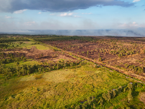 Aerial view of a landscape showing the contrast between lush green vegetation and areas of burnt land with smoke rising in the distance in Indonesia. Aerial view of a landscape showing the contrast between lush green vegetation and areas of burnt land with smoke rising in the distance in Indonesia.