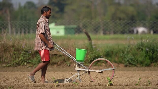 View of a farmer using a manual seed drill in a field Nepal.