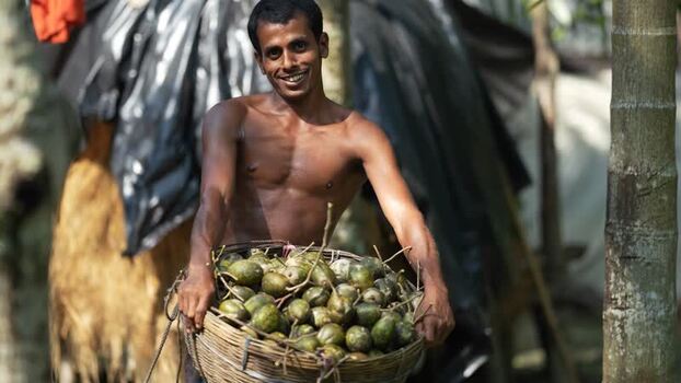 View of a man holding a basket of hog plums in Bangladesh. View of a man holding a basket of hog plums in Bangladesh.