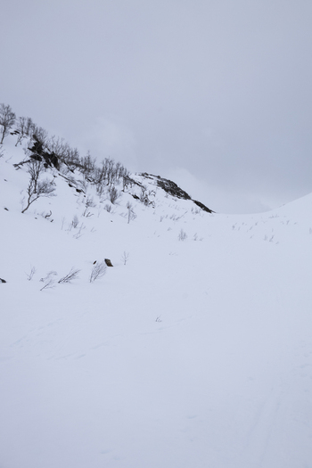 View of a snow covered mountain slope with sparse leafless trees under an overcast winter sky in Kvaloya Troms Norway.