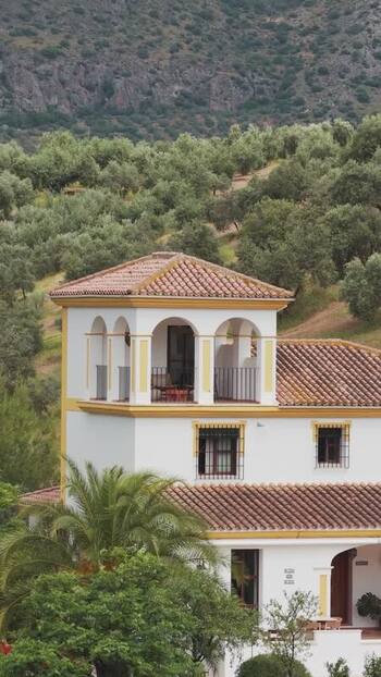 Aerial view of a traditional villa and olive groves Spain.
