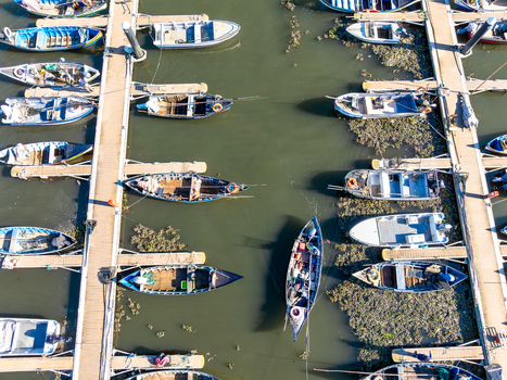 Aerial view of boats docked along weathered piers amidst the shimmering waters of Porta de Abrigo da Torreira Torreira Aveiro Portugal.