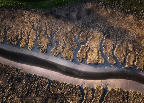 Aerial view of intricate dendritic drainage patterns in the tidal flats at low tide with a winding water channel Portmarnock County Dublin Ireland. Aerial view of intricate dendritic drainage patterns in the tidal flats at low tide with a winding water channel Portmarnock County Dublin Ireland.