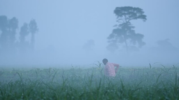 View of a man walking through a foggy field in Bogura Bangladesh.