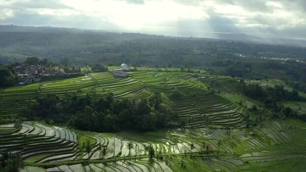 Aerial view of Jatiluwih rice terraces and lush green hills Indonesia.