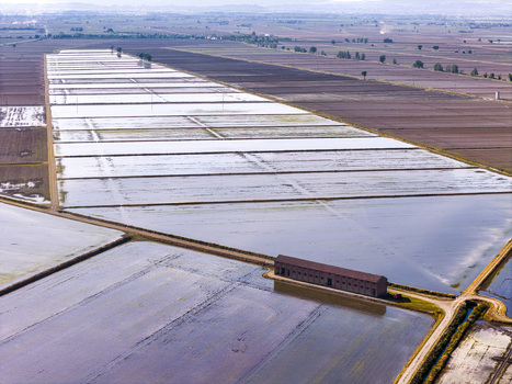 Aerial view of Tenuta Colombara and flooded rice fields arranged in a geometric grid pattern under a soft light in Livorno Ferraris Piemonte Italy.