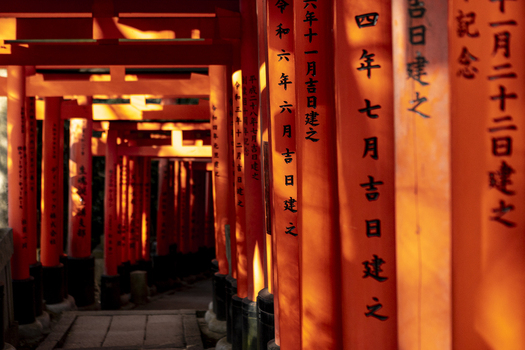 View of the vibrant orange Senbon Torii gates with traditional black calligraphy illuminated by sunlight at Fushimi Inari taisha in Kyoto Kyoto Japan.