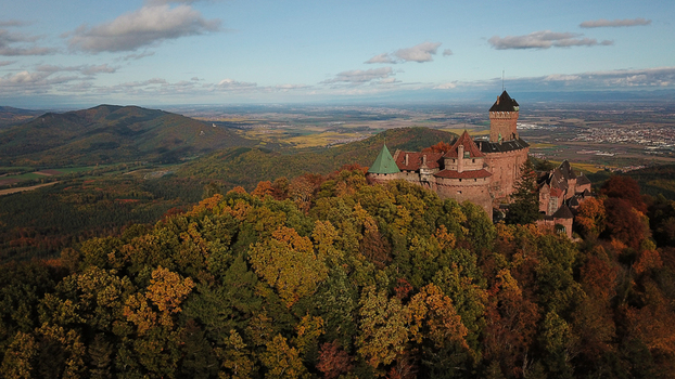 Aerial view of the historic Chateau du Haut Koenigsbourg surrounded by a dense autumn forest with vibrant fall foliage in the Vosges mountains in Orschwiller Grand Est France.