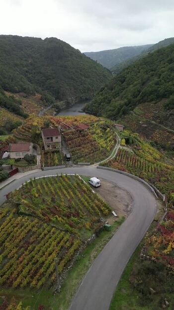 Aerial view of vineyards and winding road Spain. Aerial view of vineyards and winding road Spain.