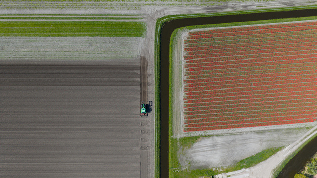 Aerial view of a green tractor plowing a brown field next to a vibrant red tulip field and a narrow irrigation canal in Heiloo North Holland Netherlands. Aerial view of a green tractor plowing a brown field next to a vibrant red tulip field and a narrow irrigation canal in Heiloo North Holland Netherlands.