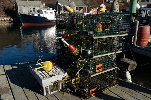View of stacked lobster traps and colorful buoys on a wooden pier with a fishing boat and rustic shacks in the background in Edgartown Massachusetts United States.