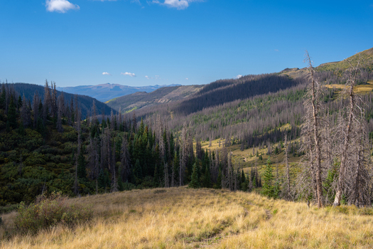 View of the mountain landscape near San Luis Peak and West Willow Creek Trailhead with golden grasses coniferous trees and distant peaks in Creede Colorado United States. View of the mountain landscape near San Luis Peak and West Willow Creek Trailhead with golden grasses coniferous trees and distant peaks in Creede Colorado United States.