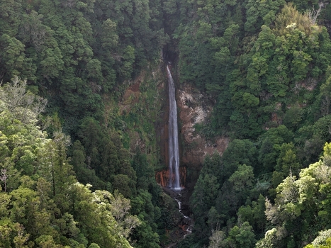 Aerial view of Cascata da Ribeira Quente waterfall plunging down a rocky cliff surrounded by dense green forest and lush vegetation in Ribeira Quente Azores Portugal. Aerial view of Cascata da Ribeira Quente waterfall plunging down a rocky cliff surrounded by dense green forest and lush vegetation in Ribeira Quente Azores Portugal.