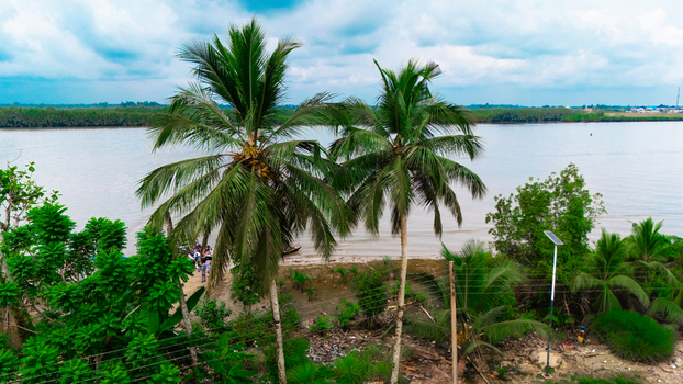 Aerial view of lush palm trees along a riverbank with a small boat moored at the shore under a cloudy sky in Minima Rivers Nigeria.