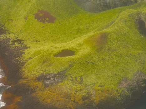Aerial view of the lush green mossy hills and rugged coastline of the Eastern Region in Iceland. Aerial view of the lush green mossy hills and rugged coastline of the Eastern Region in Iceland.