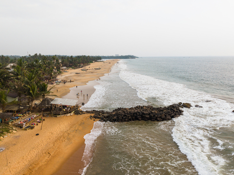 Aerial view of golden sandy beach with palm trees a small beach bar and a rock breakwater along the coastline in Galle Southern Province Sri Lanka.