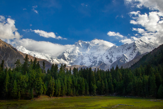 View of Nanga Parbat mountain peak towering over a lush green forest and meadow under a clear blue sky in Fairy Meadow Gilgit Pakistan. View of Nanga Parbat mountain peak towering over a lush green forest and meadow under a clear blue sky in Fairy Meadow Gilgit Pakistan.