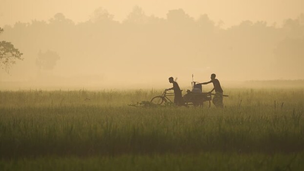 View of two people pushing a bicycle through a misty field Bangladesh.