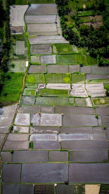 Aerial view of the Tegallalang Rice Terrace showcasing intricate patterns of terraced paddies lush green vegetation and water filled fields in Kecamatan Tegallalang Bali Indonesia.