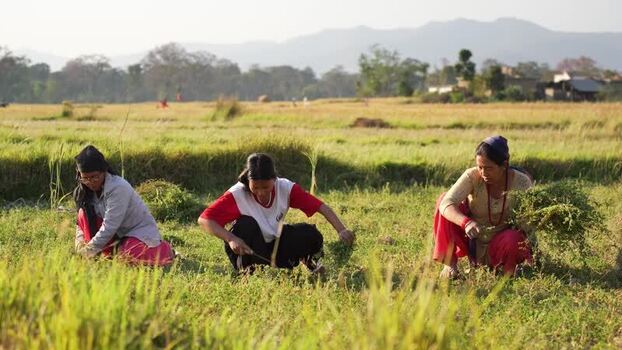 View of women working in a rural field in Dang Nepal.