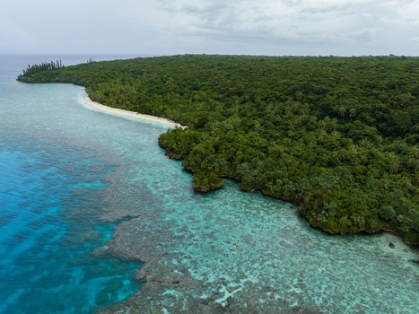 Aerial view of turquoise waters meeting the verdant coastline a symphony of blues and greens under a soft diffused light Hunete Loyalty Islands Province New Caledonia. Aerial view of turquoise waters meeting the verdant coastline a symphony of blues and greens under a soft diffused light Hunete Loyalty Islands Province New Caledonia.