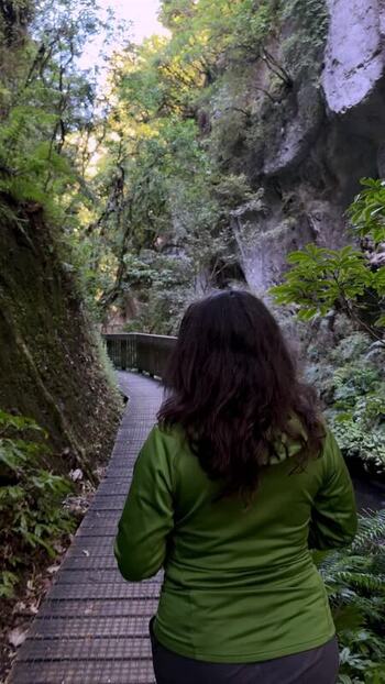 View of person walking through a lush gorge New Zealand.