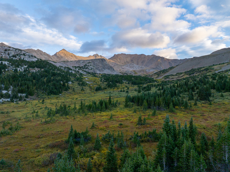 Aerial view of Mount Harvard and the Sawatch Range featuring alpine meadows evergreen forests and rugged peaks under a soft sky in Buena Vista Colorado United States. Aerial view of Mount Harvard and the Sawatch Range featuring alpine meadows evergreen forests and rugged peaks under a soft sky in Buena Vista Colorado United States.