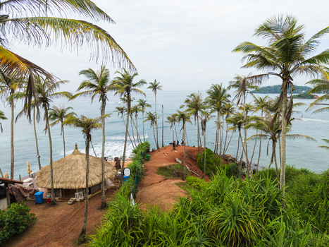 Aerial view of Coconut Tree Hill with its iconic palm trees overlooking the Indian Ocean and a small thatched hut in Mirissa Southern Province Sri Lanka. Aerial view of Coconut Tree Hill with its iconic palm trees overlooking the Indian Ocean and a small thatched hut in Mirissa Southern Province Sri Lanka.