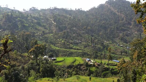 View of lush green terraced hillsides and rural houses Nepal.
