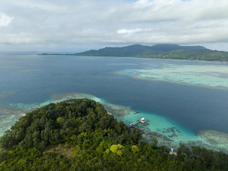 Aerial view of the island s lush green canopy meeting the turquoise waters contrasting with the distant mountainous horizon at Menjangan Kecil Karimunjawa Indonesia.