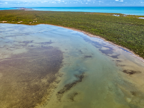 Aerial view of Salt Pond featuring shallow turquoise waters and dense green vegetation along the coastline in Exuma Exuma The Bahamas.