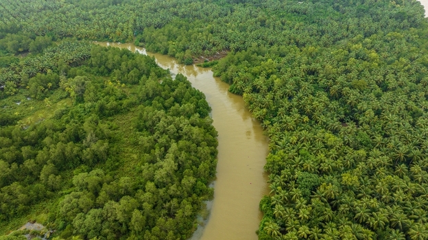 Aerial view of a winding river flowing through a lush green forest and dense palm tree plantations in Honnavar Karnataka India.