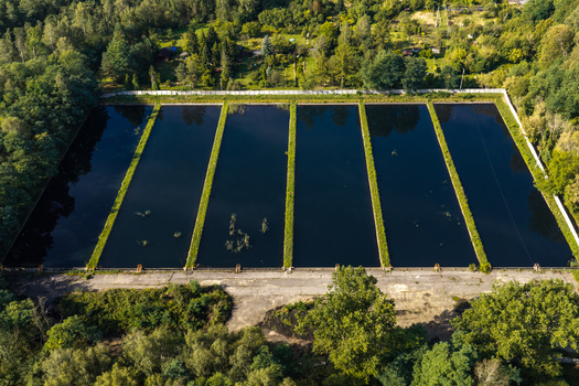 Aerial view of coal mine settling ponds with rectangular water basins separated by grassy embankments surrounded by dense forest in Jaworzno Silesian Voivodeship Poland.