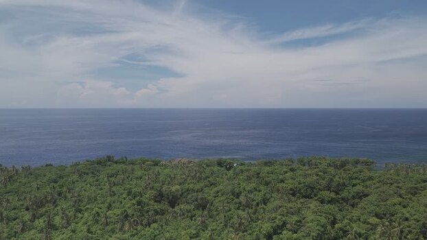 Aerial view of lush tropical forest and blue ocean in Philippines.