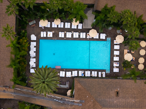 Los Angeles United States 25 September 2026 Aerial view of The Hollywood Roosevelt swimming pool with sun loungers umbrellas and palm trees in Los Angeles California. Los Angeles United States 25 September 2026 Aerial view of The Hollywood Roosevelt swimming pool with sun loungers umbrellas and palm trees in Los Angeles California.