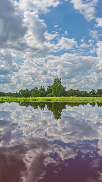 View of a calm lake with trees and sky reflection Latvia. View of a calm lake with trees and sky reflection Latvia.
