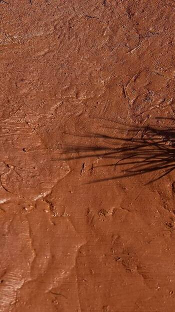 View of textured reddish brown soil in Latvia. View of textured reddish brown soil in Latvia.
